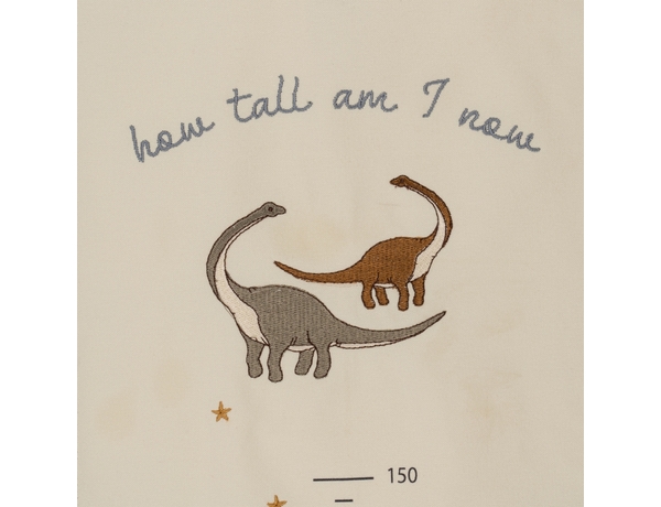 How Tall Am I Dino